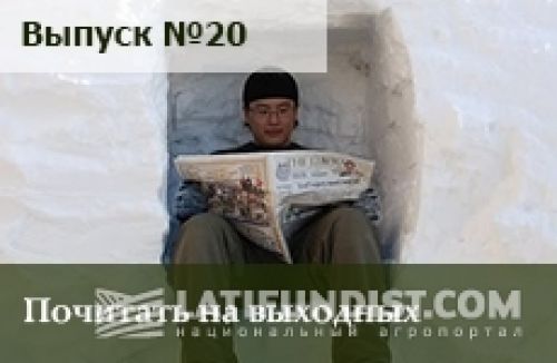 Почитать на выходных — выпуск номер 20 Почитать на выходных — выпуск номер 20