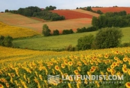 Зарубежные инвесторы обещают «золотые горы» Зарубежные инвесторы обещают «золотые горы»