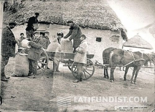 Финансы в агросекторе Финансы в агросекторе