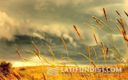 «Европейская» неделя в украинском АПК «Европейская» неделя в украинском АПК