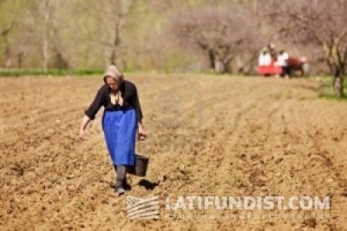 Пленники брендов Пленники брендов