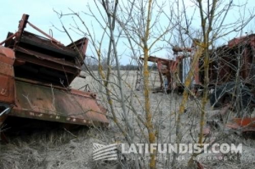 Бесперспективняк Бесперспективняк