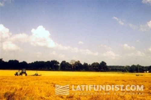Аграрная неделя: сюрпризы от крупных агрохолдингов