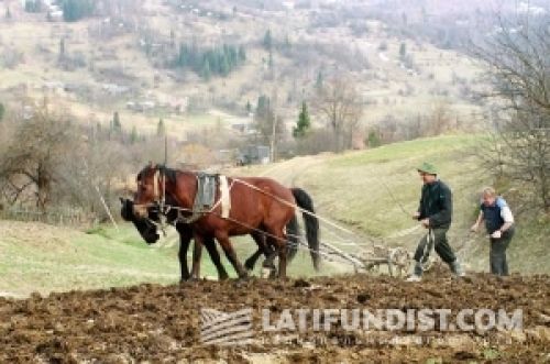 Самое слабое звено АПК Самое слабое звено АПК