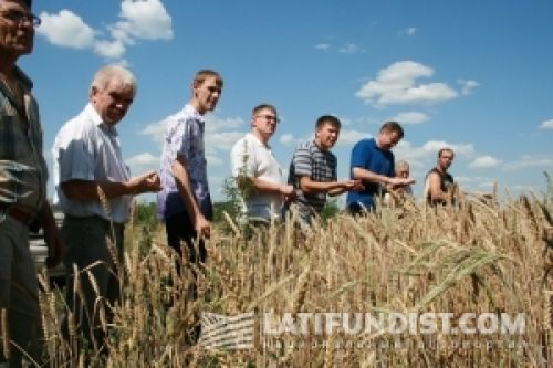 Кооперативное движение Кооперативное движение