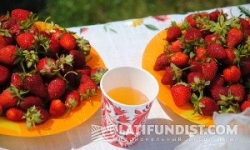 Рецепт успеха сельского кооператива Рецепт успеха сельского кооператива