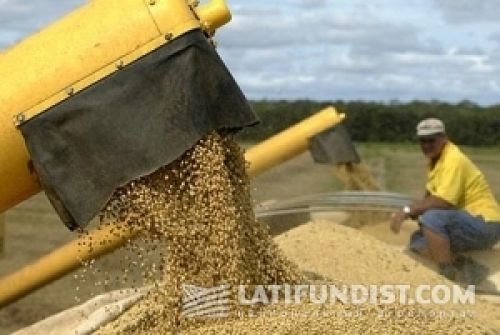 Урожай американской сои в 90 млн тонн — это возможно! Урожай американской сои в 90 млн тонн — это возможно!