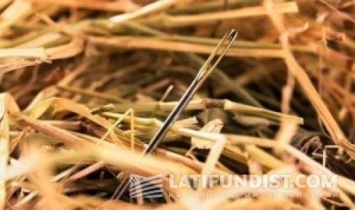В стоге сена. Заметка для HR В стоге сена. Заметка для HR