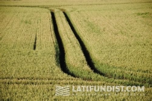 Арендные отношения нуждаются в реформировании Арендные отношения нуждаются в реформировании