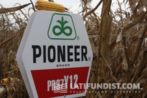Полевая «лаборатория»: DuPont Pioneer встречает гостей Полевая «лаборатория»: DuPont Pioneer встречает гостей