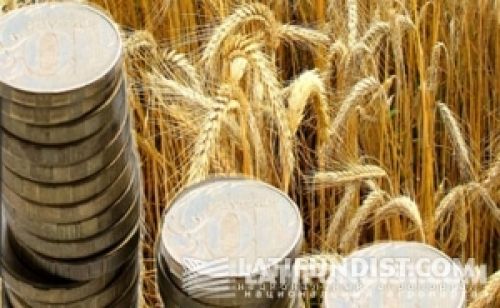 Аграрная неделя: Цыплят по осени считают Аграрная неделя: Цыплят по осени считают