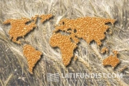 ukrapk.com Аграрная неделя: «Майданное» настроение