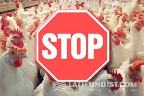 Аграрная неделя: Украинская курятина. Экспорт закрыт! Аграрная неделя: Украинская курятина. Экспорт закрыт!