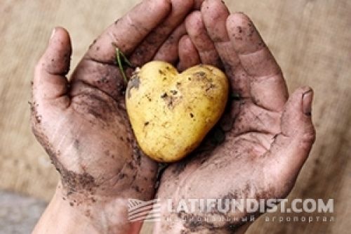 Аграрная неделя: Из АПК с любовью Аграрная неделя: Из АПК с любовью