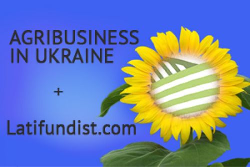 Агробизнес Украины глазами участников