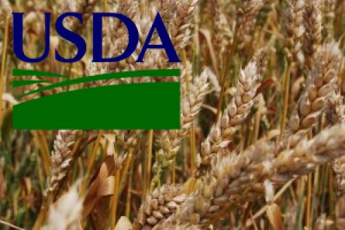 Квартальный отчет USDA: без паники господа! Квартальный отчет USDA: без паники, господа!