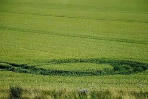Регистрационная система сдает очередной экзамен на зрелость Регистрационная система сдает очередной экзамен на зрелость