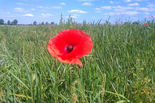 Аграрная неделя: до свидания, праздники! Аграрная неделя: до свидания, праздники!
