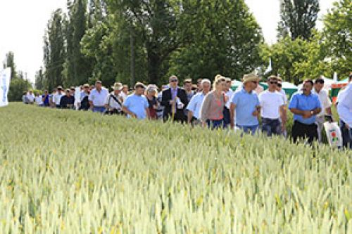 Семена — дело тонкое Семена — дело тонкое