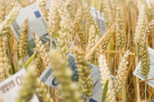 Аграрные расписки станут удобным инструментом кредитования аграриев Аграрные расписки станут удобным инструментом кредитования аграриев