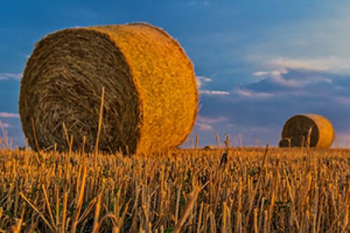 Шпагат — дело тонкое Шпагат — дело тонкое
