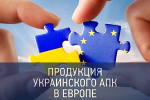 Сколько миллионов евро сэкономят украинские аграрии от экспорта в Европу? Сколько миллионов евро сэкономят украинские аграрии от экспорта в Европу?
