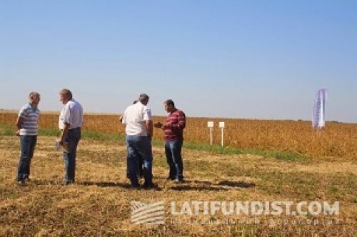 В центре внимания — соя В центре внимания — соя