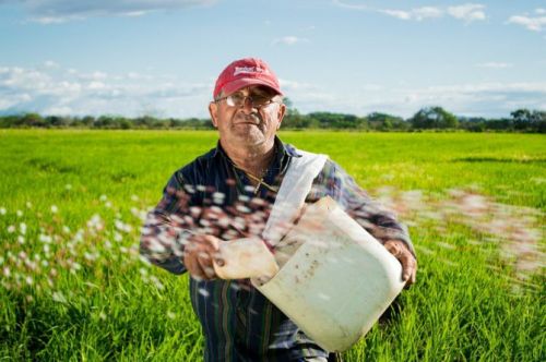 9 удивительных стартапов, чьи продукты обрадуют аграриев 9 удивительных стартапов, чьи продукты обрадуют аграриев