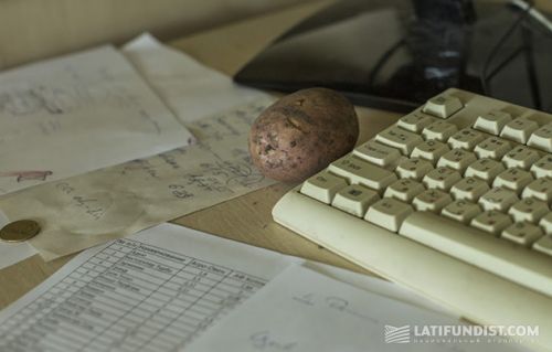 День 1. Корпорация Агро-Овен: Картофельная история успеха День 1. Корпорация Агро-Овен: Картофельная история успеха
