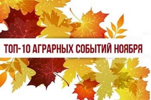 Agroweekend: ТОП-10 аграрных событий ноября Agroweekend: ТОП-10 аграрных событий ноября