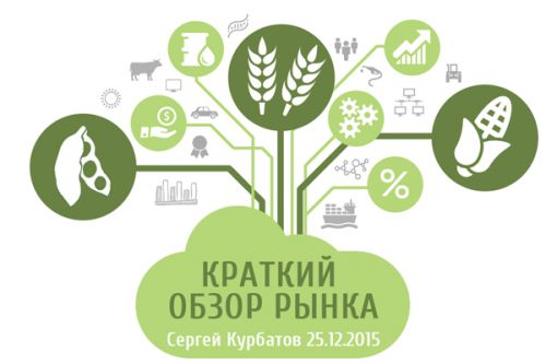 Переизбыток зерновых и масличных на рынке: какие последствия? рынок зерна