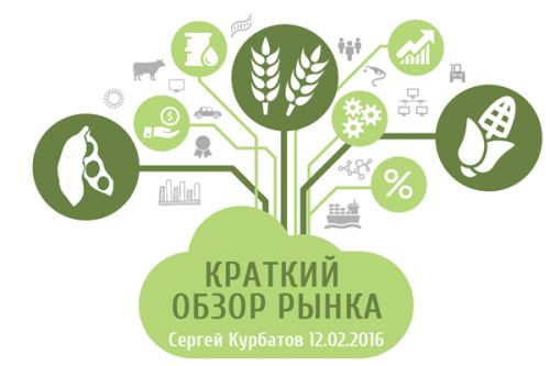 Обзор рынка зерновых и масличных grain
