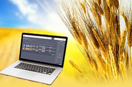Подписка или Лицензия: какое ПО выбирают зернотрейдеры?