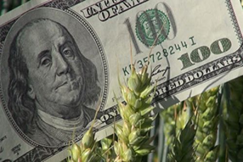 5 факторов, которые влияют на цену пшеницы price of wheat