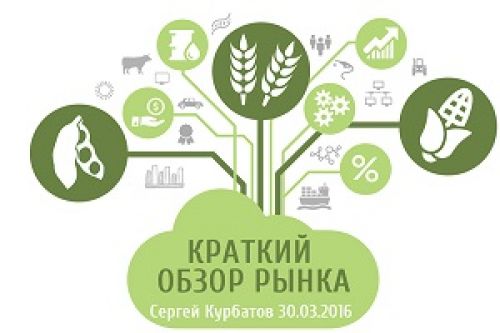 Аналитика рынков сырья market analytics