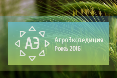 Первая АгроЭкспедиция Рожь 2016 жито