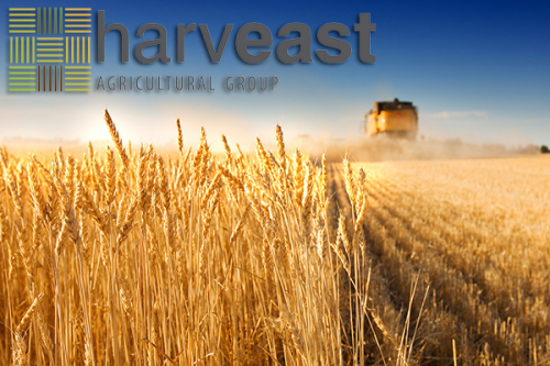 Как в HarvEast борются с воровством харвист