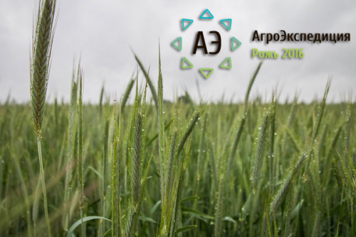 Маршрут АгроЭкспедиции. Рожь 2016 жито