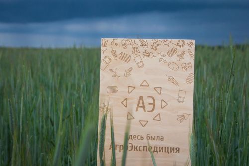 АЭ Рожь День 3: Житомирская область рожь