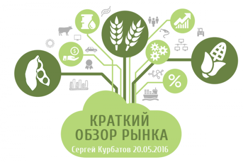 Анализ рынков зерновых и масличных зерно