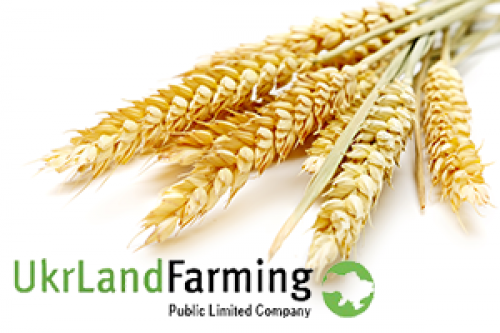 Как в Ukrlandfarming борются с воровством Райз