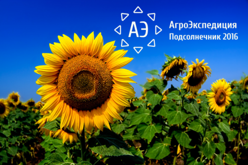 АгроЭкспедиция Подсолнечник 2016 Подсолнечник