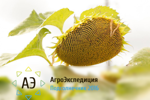 АгроЭкспедиция Подсолнечник 2016. Наш маршрут