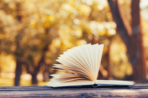Почитать на выходных — выпуск номер 199 open book