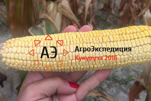АгроЭкспедиция Кукуруза. День 1