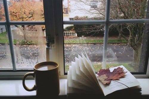 Свежее аграрное чтиво reading