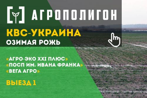 «Первой ласточкой» станут сельхозпредприятия, успешно выращивающие озимую рожь и яровую пшеницу КВС-Украина