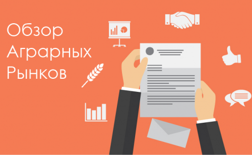 Обзор аграрных рынков: пшеница пшениця