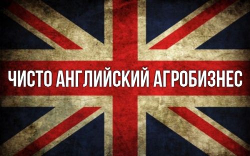 Украинский агробизнес сможет торговать с британцами по «старым» правилам до 2019 г. agriculture in Great Britain