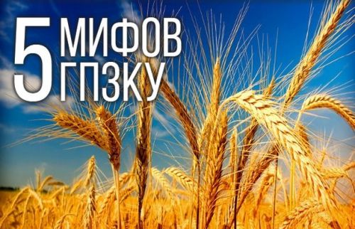 5 мифов о гиганте зернотрейдинга 5 мифов о гиганте зернотрейдинга